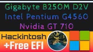 Hackintosh Gigabyte GA B250M D2V - Intel Pentium G4560 - Nvidia GT 710 | Free EFI BigSur