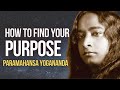 Paramahansa yogananda how to find your purpose  voice of paramahansa yogananda