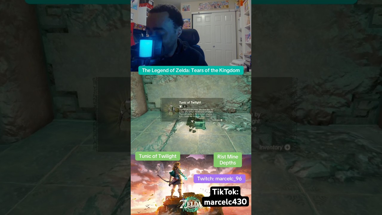 Tears of the Kingdom Tunic of Twilight 