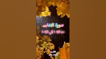 قرآنٌ يُتلي #تلاوة_خاشعة #quran #سورة_التغابن