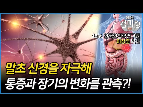   말초 신경을 자극해 통증 변화와 장기들의 상황을 관찰한다 한국한의학연구원 이상훈 박사