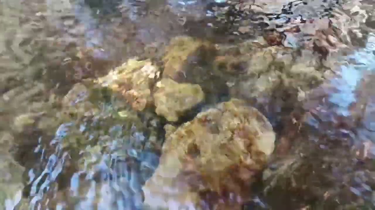 Música para Relajar el Cuerpo y el Alma con Sonidos de Agua para Meditar y Dormir. RELAXING WATER