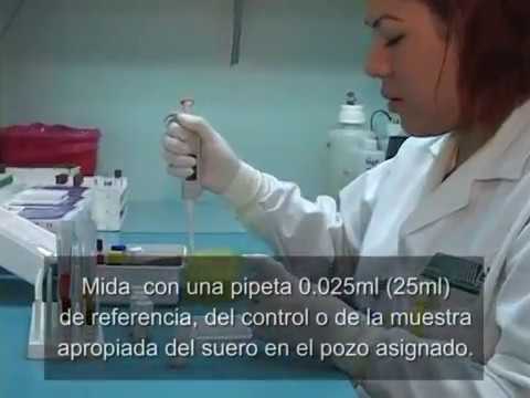 Vídeo: Echinacea VILAR: Instrucciones Para El Uso De Jugo, Revisiones, Precio, Análogos