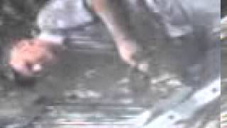 Zugravul din Oradea pe nume Vasile.