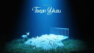 Dilan Balkay - Tavşan Uykusu Resimi