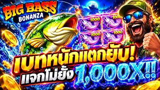 fibzy บินไม่พัก x1 : BIG BASS BONANZA 1,000  ตู๊มเดียวจบบบ 🎣 !!