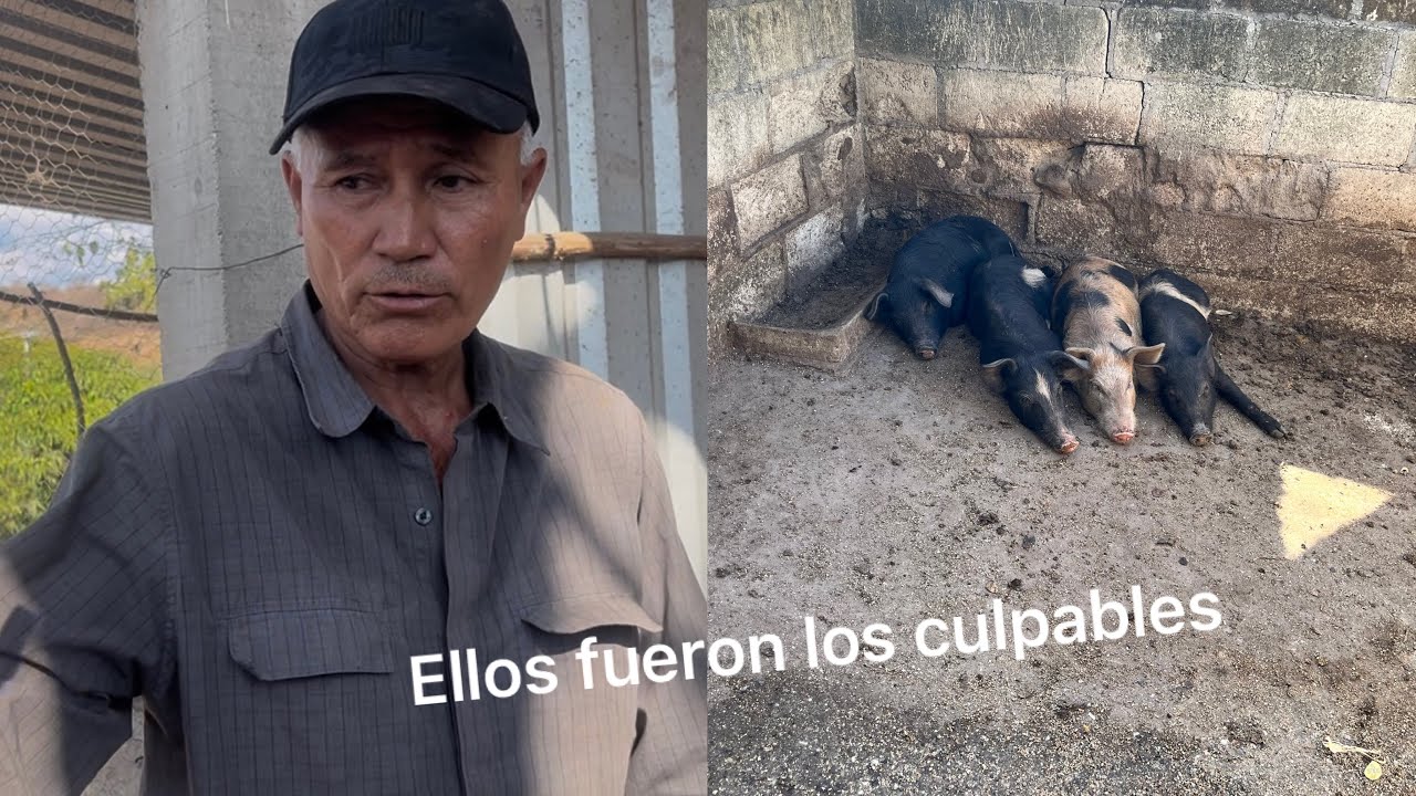 Codiciado sale mal con su esposa⁉️😌y Yobani les cuenta el motivo😱