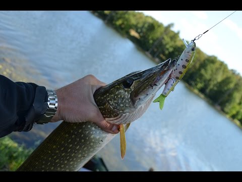 Обзор KOSADAKA CORD-R