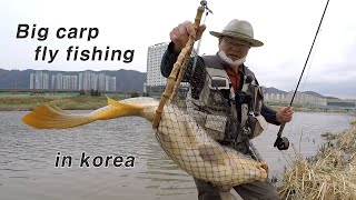 big carp fly fishing (이것이 잉어플라이 낚시다) by Imaginative Guy 12,651 views 2 years ago 20 minutes