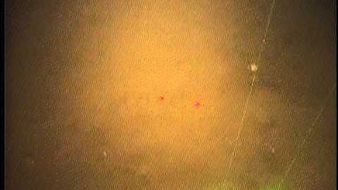 C109NC_Tape10o.noaudio.mpg