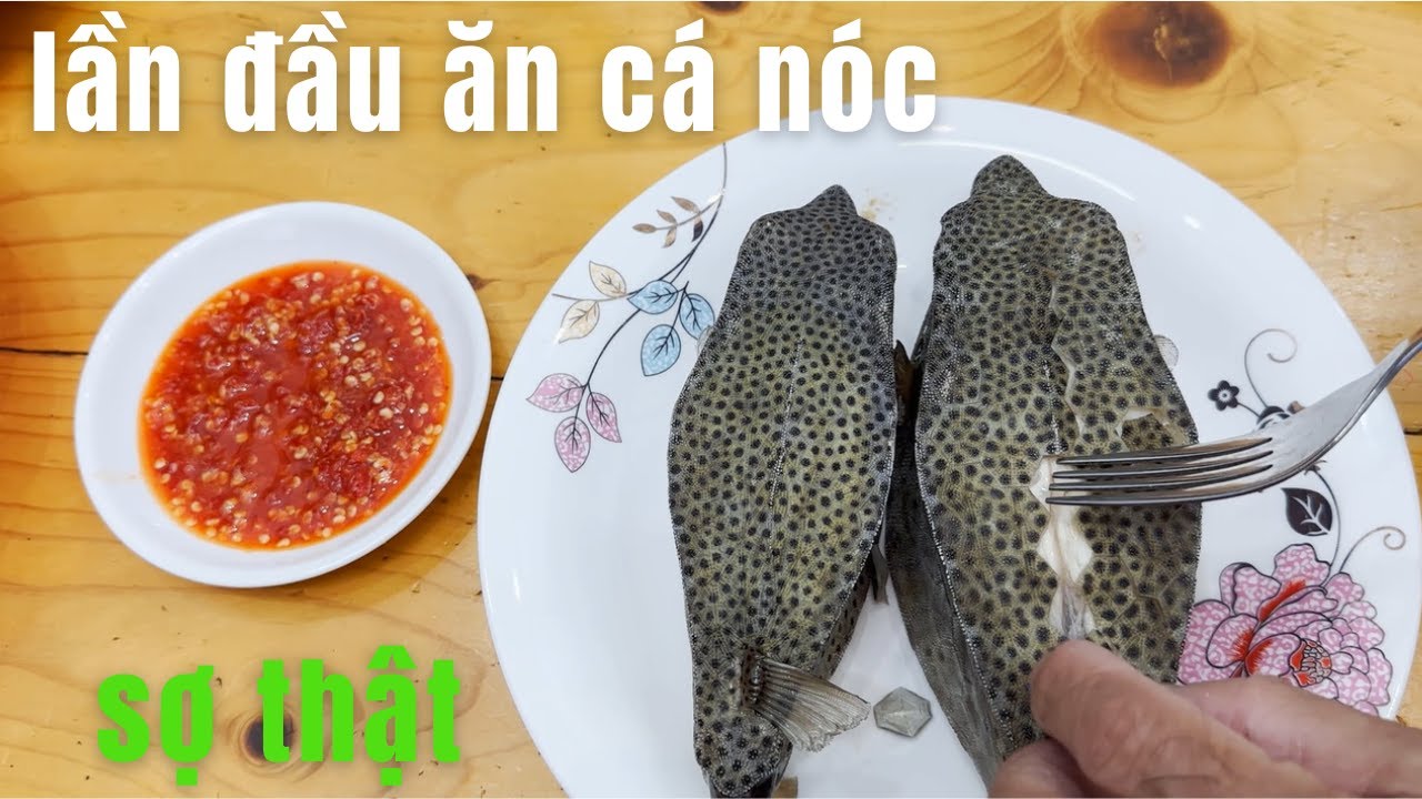 Lần đầu ăn cá này hồi hợp quá,cá nóc khế,cá bò hòm,dòng giống cá nóc | không tên 09 - youtube