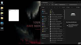 3  Demo of the Complete Ransomware Information