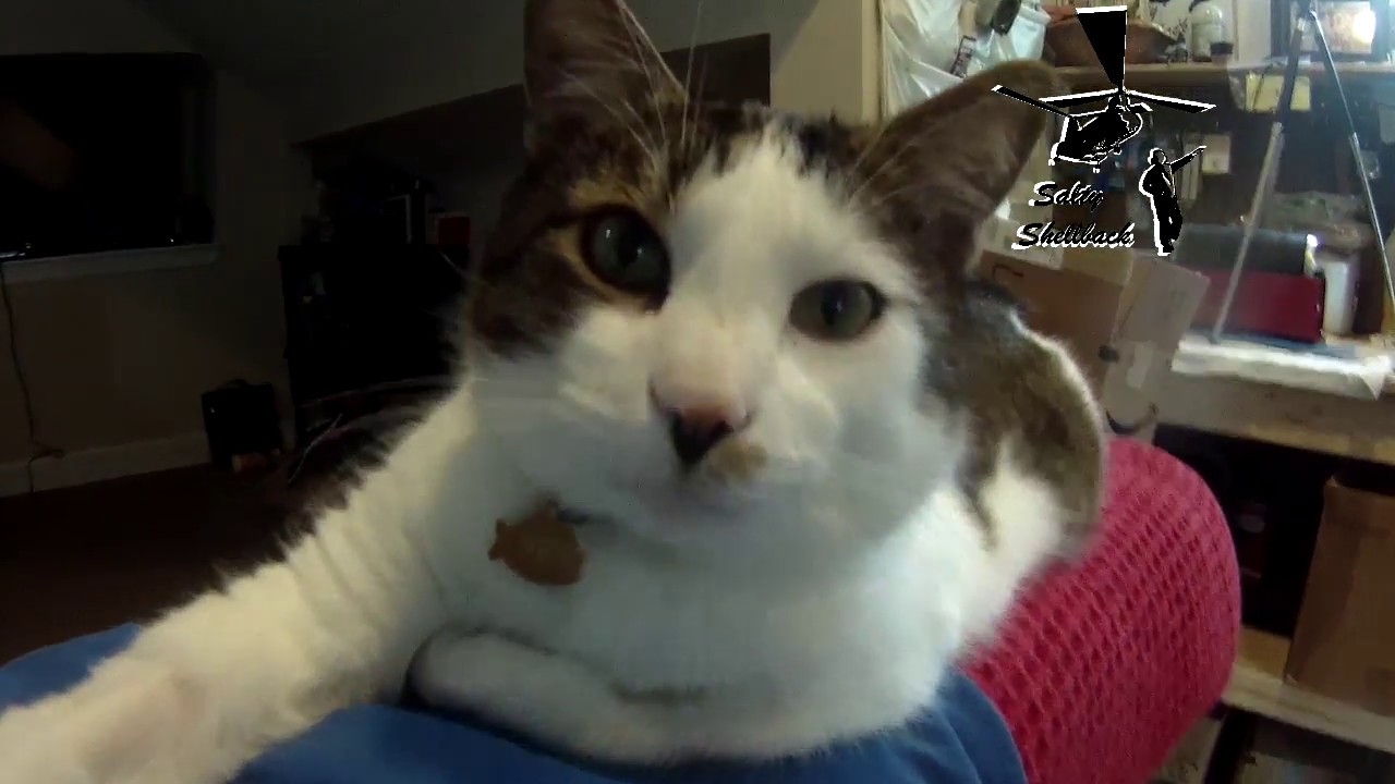 Hard Target giveaway (for Jack) update