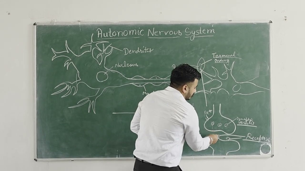 Autonomic Nervous System | Mr. Navneesh | Assistant Professor #isfcp #demo lecture isfcp