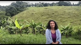 Cca Paula Jimena Salazar