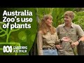 Terri and robert irwin explain why plants are essential to australia zoo  gardening australia