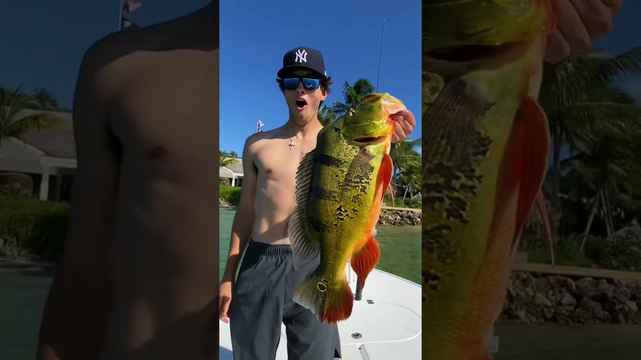 Catching The Peacock Bass Record 