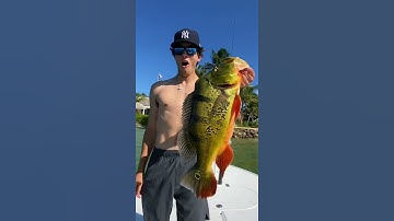 Thumbnail of Catching The Peacock Bass Record!