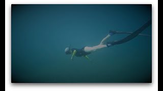 Freediving In Hawaii With Whale Songs