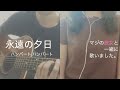 永遠の夕日 / ハンバートハンバート with 彼女(弾き語り cover)