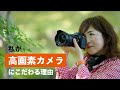有効約 [ 6100万画素 ] の世界！Sony α7R V•α7CRだからこそ撮れるものがある✨