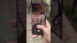 Motorola Edge 70 First Look 😍 #youtubeshorts #shorts #smartphone #motorola