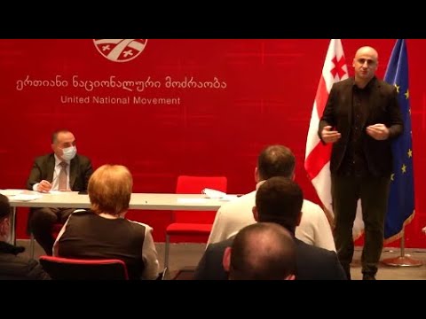 როგორ აფასებენ „ნაციონალურ მოძრაობაში“  განხორციელებულ ცვლილებებს პარლამენტში