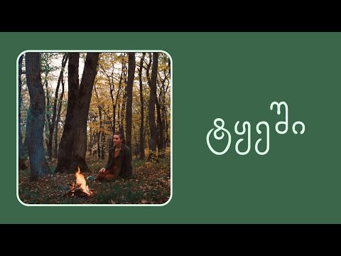 ლაშქრობა ტყეში • ვლოგი •