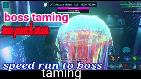 speed run one punchan and taming boss DG ark mobile
