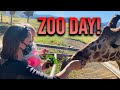 Zoo Day in the desert | Sofi feeds a giraffe!