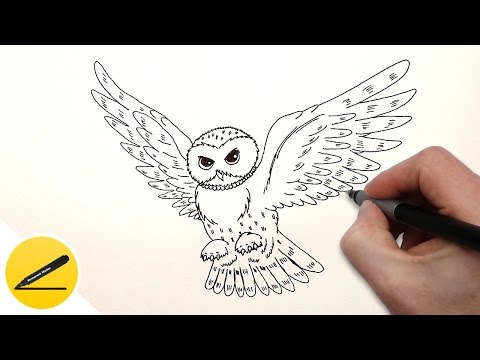 Как Нарисовать Сову поэтапно - Учимся рисовать Сову