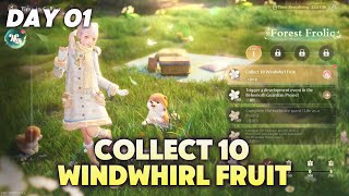 Collect 10 Windwhirl Fruit | Infinity Nikki