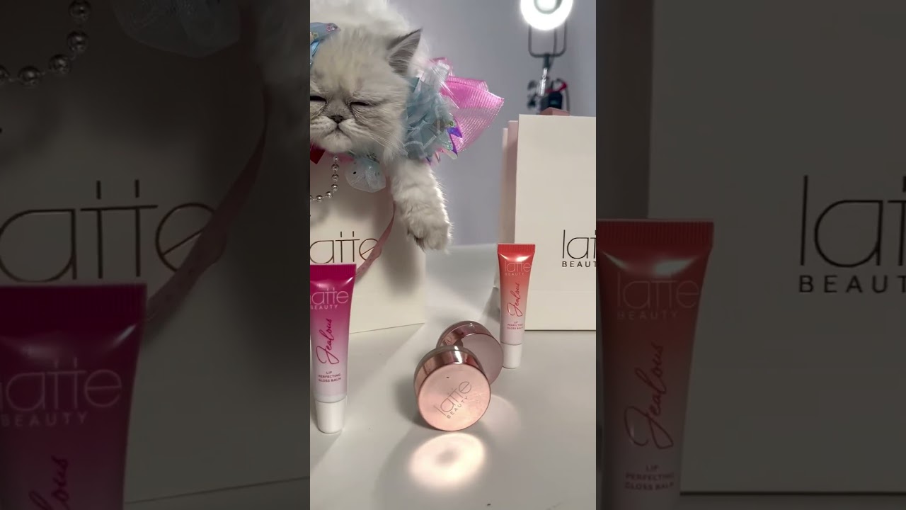 Latte Beauty и котики🐱❤️ 