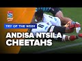 TRY OF THE WEEK | Super Rugby Unlocked Rd 7