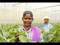 Sumukha at glance fertilizers farmers yield