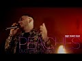 Peaches Justin Bieber cover (Deepfunky duo) live electro band - Lyon Genève Annecy