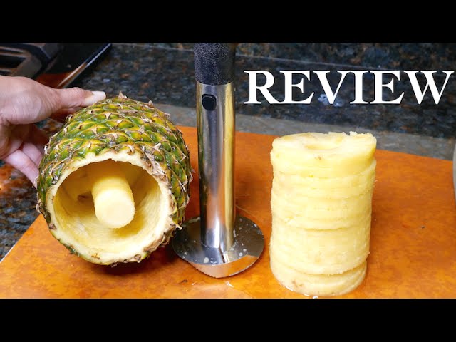  OXO Good Grips Simple Pineapple Corer & Slicer : Home & Kitchen