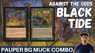 CAN WE DO IT! Pauper Brew Time with Bubbling Much and Avenging Druid against the odds in leagues!