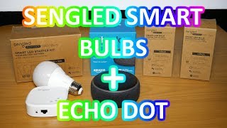echo dot sengled