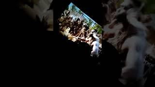 Sinamada Gizli Cekim