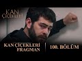 Kan Çiçekleri 100 Bölüm Fragmanı