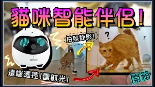 【魚乾】不在家也能玩貓遠端視訊高科技貓玩具Ebo