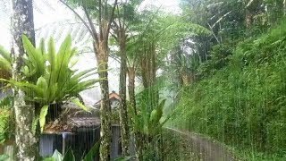 😴 Escucha esto antes de dormir: Los sonidos más relajantes de la lluvia para una relajación total