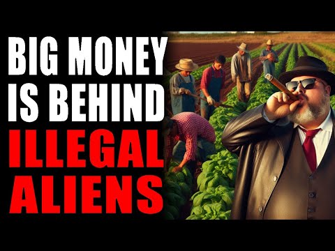 Big Govt. and Big Business Behind Illegal Aliens