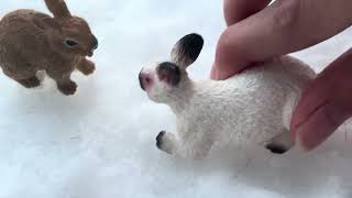 A Rabbit Story Animal Story