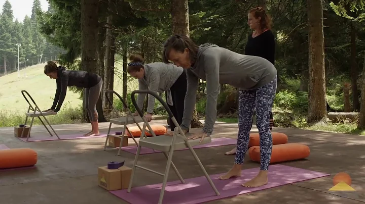Elaine Mele, Yoga for Low Back Pain  I  UDAYA.com