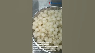 Automatic Longan Peeling and Core Removing Machine