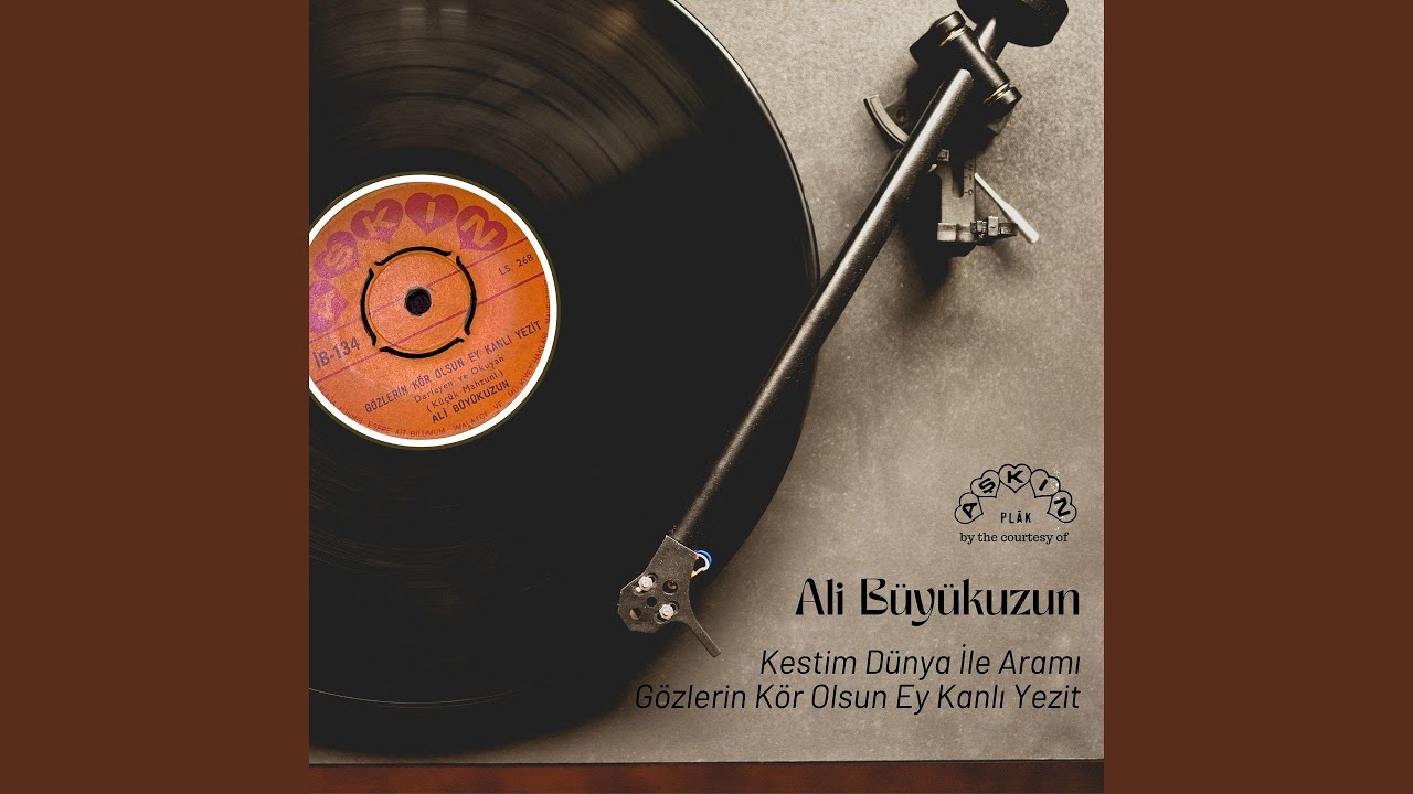 Gözlerin Kör Olsun Ey Kanlı Yezit