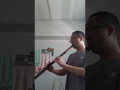 洞箫清吹20230827铁血丹心F调（练箫两年）