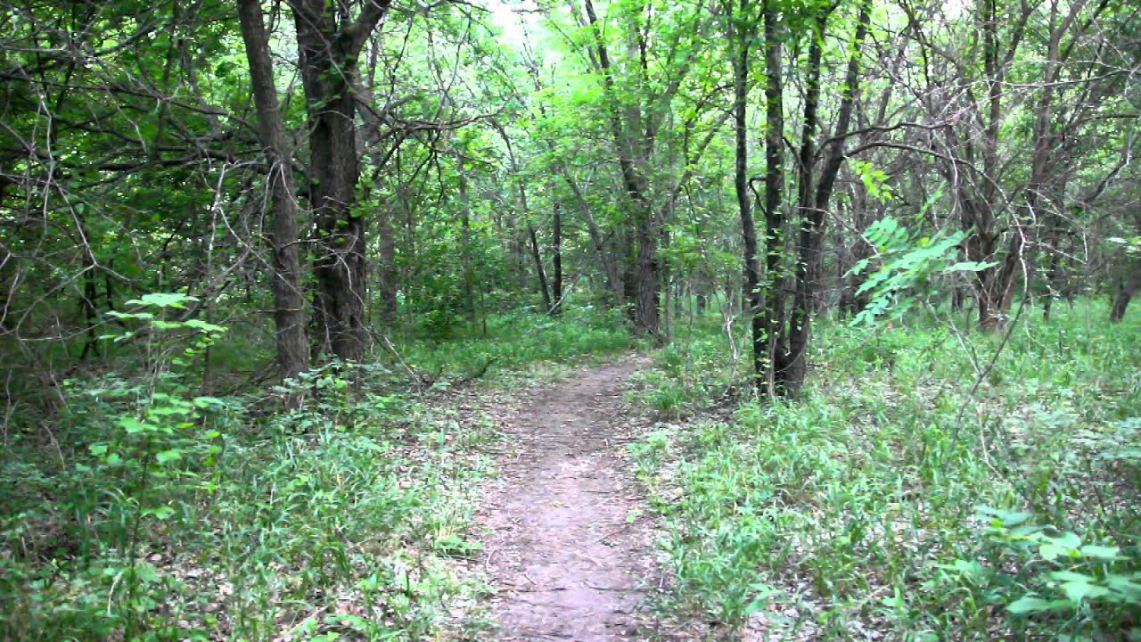 Oak Point Park and Reserve